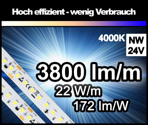 1m LED-Strip SMD2835 HE/CC, PL extrem hell mit 3800 lm/m bei nur 22W/m, 24V, neutralweiß 4000K, Konstantstrom-geregelt